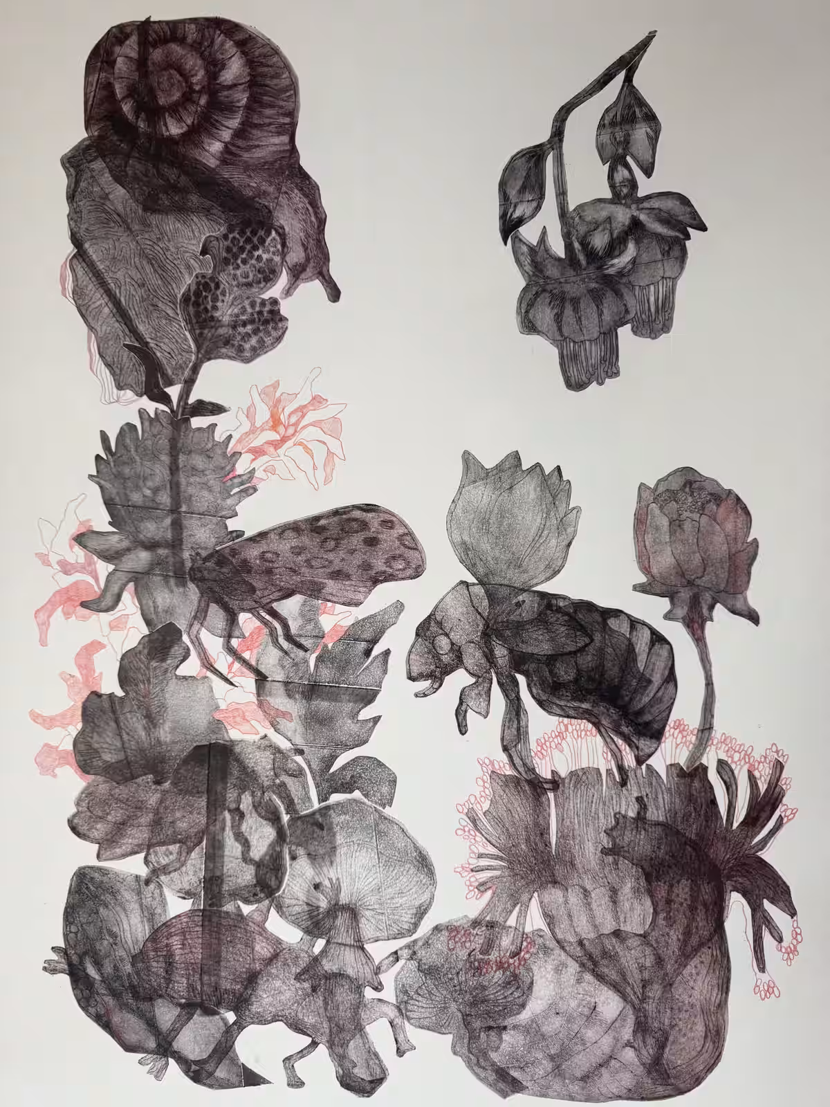 Painting or work on paper from Alexandra's archive, image 339